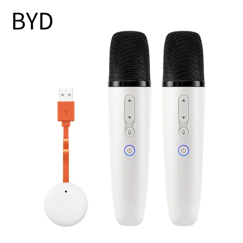 BYD & DENZA Official Factory Car Karaoke Microphone With Receiver For BYD - NeoBYD