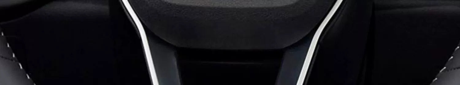 Steering Wheel / Front logo / Body Modified BYD Decorative Sticker for BYD - NeoBYD