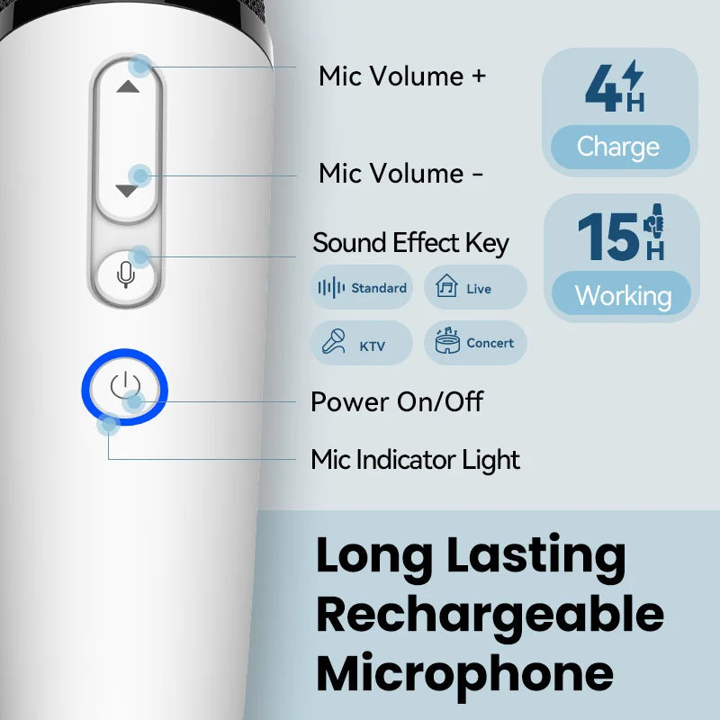 BYD & DENZA Official Factory Car Karaoke Microphone With Receiver For BYD - NeoBYD