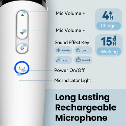 BYD & DENZA Official Factory Car Karaoke Microphone With Receiver For BYD - NeoBYD