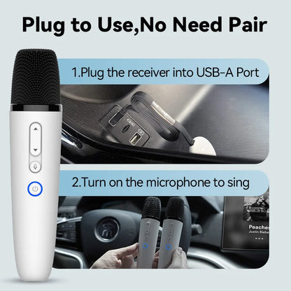 BYD & DENZA Official Factory Car Karaoke Microphone With Receiver For BYD - NeoBYD