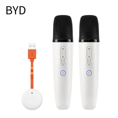BYD & DENZA Official Factory Car Karaoke Microphone With Receiver For BYD - NeoBYD