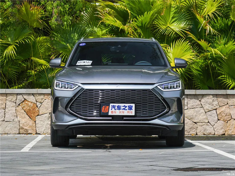 Steering Wheel / Front logo / Body Modified BYD Decorative Sticker for BYD - NeoBYD