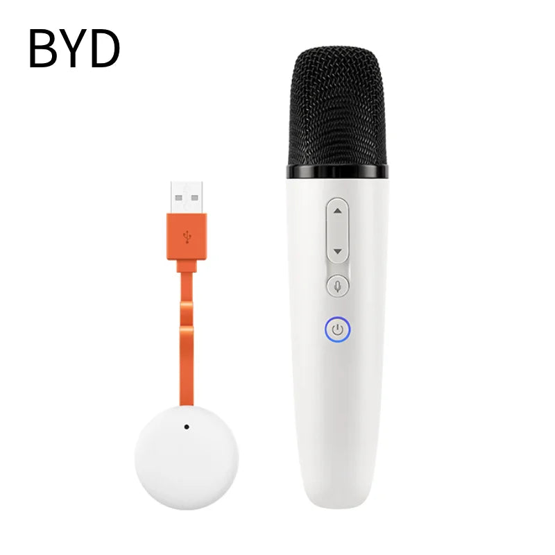 BYD & DENZA Official Factory Car Karaoke Microphone With Receiver For BYD - NeoBYD