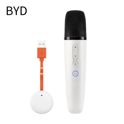BYD & DENZA Official Factory Car Karaoke Microphone With Receiver For BYD - NeoBYD